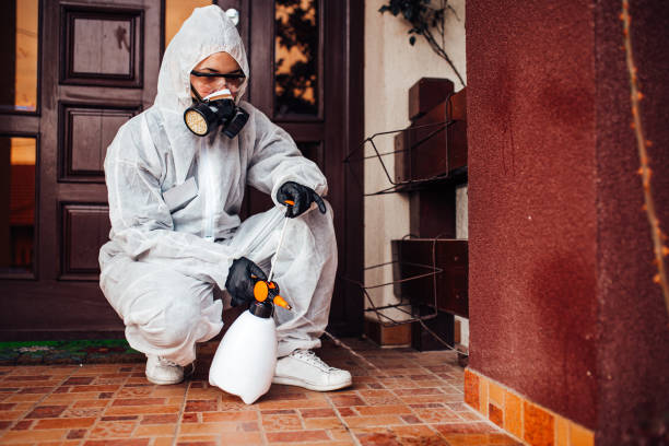 Reliable Cockroach Control contractor in Buda, TX by Nex Pest Control